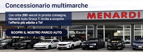 Menardi Auto Group Srl