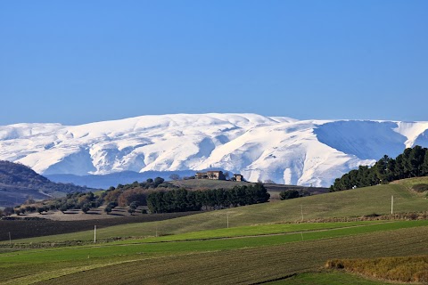 Abruzzo Rural Property