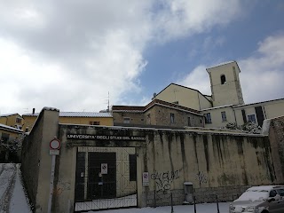 Università degli Studi del Sannio - Segreteria Studenti