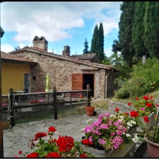 Agriturismo Fattoria di Cintoia