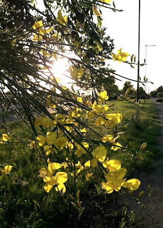 Iskra Vivaio Piante e Fiori