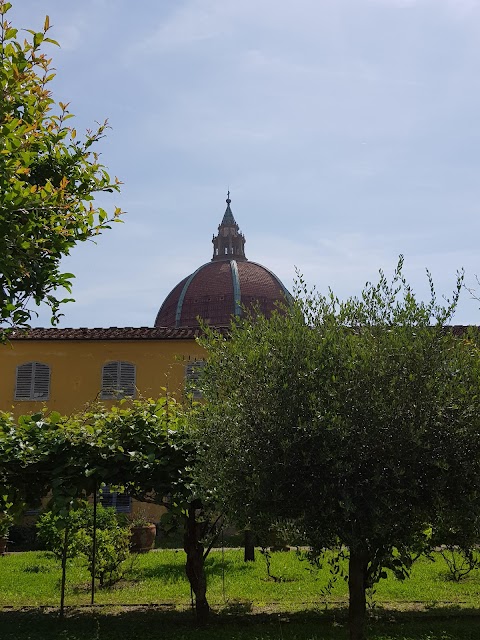 Università "Vasco Gaiffi" A.P.S.