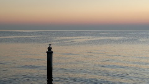 Consorzio Lago di Garda Veneto