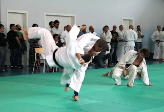 Faul Judo