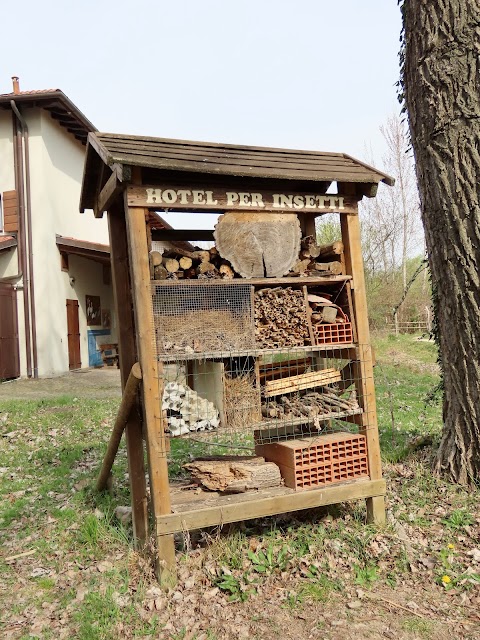 Riserva Naturale Regionale della Foce dell'Isonzo Isola della Cona