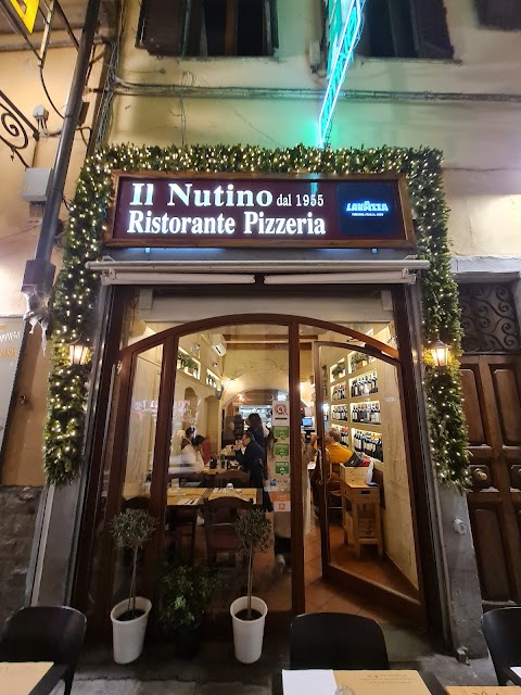 Il Nutino