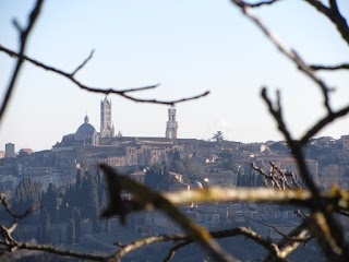 Appartamento a Siena