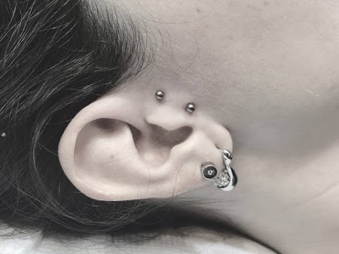 Inkubus tattoo piercing