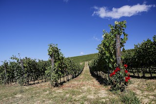 Cantine Leonardo Da Vinci