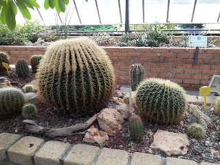 Giardino Botanico Dina Bellotti