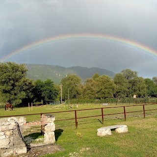 Centro Ippico ASD la stretta , passeggiate a cavallo e lezioni