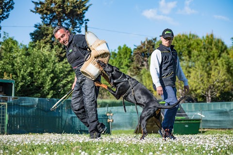 Dog Hotel il Gonnellino