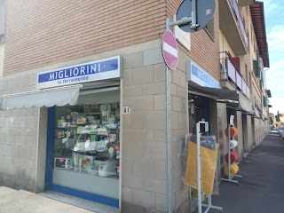 Migliorini Ferramenta Firenze