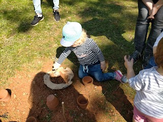 Educare nel bosco