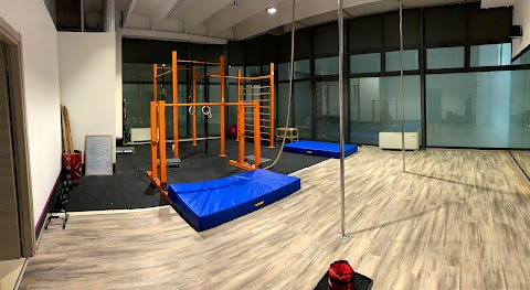 Pole Sport and Gymnastics Academy