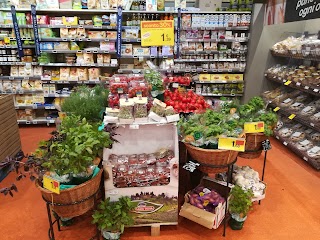 Carrefour Market - Grottaferrata Del Pratone