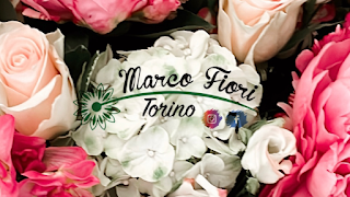 Marco Fiori Torino