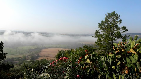 Agriturismo Casale di Colle