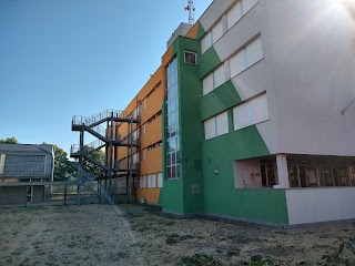 Scuola Secondaria di 1° Grado "Lippi"