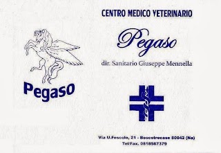 Centro Medico Veterinario PEGASO