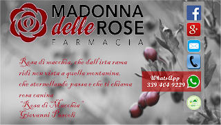 Farmacia Madonna delle Rose