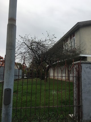 Scuola primaria “Umberto Tagliabue”