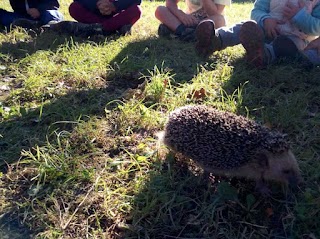 Asilo nel Bosco di Praglia - I bimbi del bosco