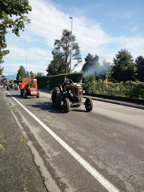 Termosolex di Montini Stefano