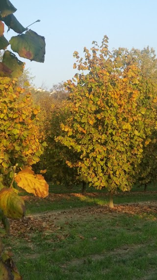 La Bottega Di Paola Di Vellano Paola