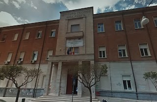 Liceo Scientifico P. Farinato