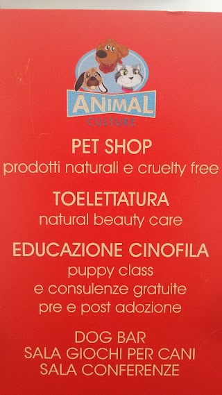 Animal Culture