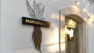 Mandragora Pozioni & Porzioni