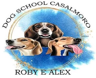 Dog's school Casalmoro