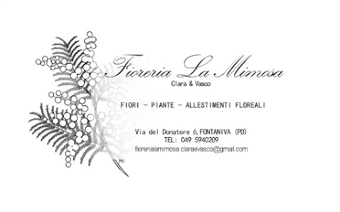 Fioreria La Mimosa