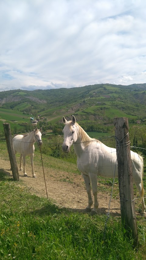 La Buca di Spigonetti Andra - Bed and breakfast sui colli bolognesi