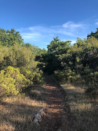 Bosco di Marcèdde