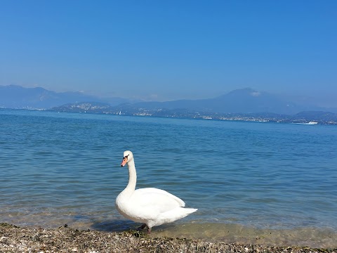 Vecchio Mulino Beach