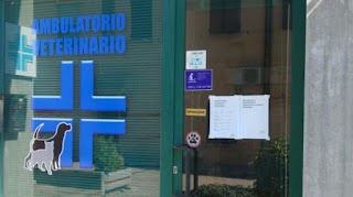 Ambulatorio Veterinario Malalbergo