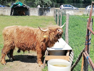 Nella vecchia fattoria