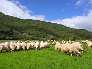 Azienda Agricola Cardellini Vincenzo