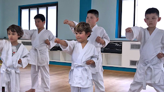 Shinkon - Scuola di Karate Tradizionale Milano