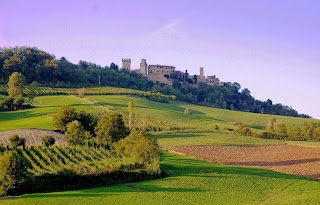 Azienda Agricola Sesenna