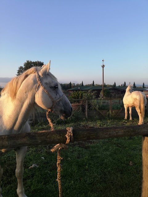 Fattoria Delle Due Rose Circolo Equestre