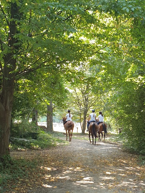 Centro Sportivo Equestre Associazione Sportiva Dilettantistica