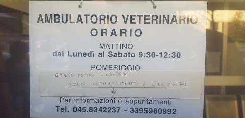 Dott. Marco Zoccatelli | Ambulatorio Veterinario