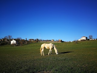 Cascina Gandolfo