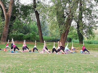 Laboratorio Yoga