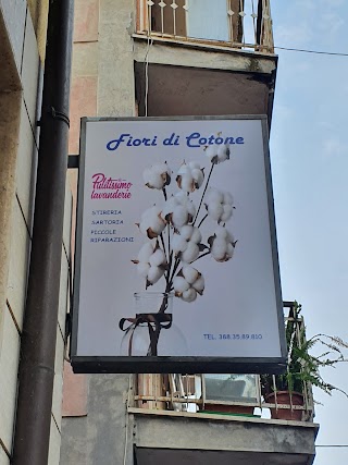 Fiori di Cotone di Franca Magnarelli