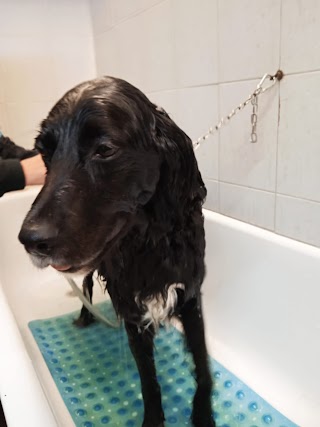 Piccoli Amici Toilette per Animali