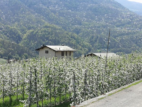 Agriturismo Fiorenza B&B